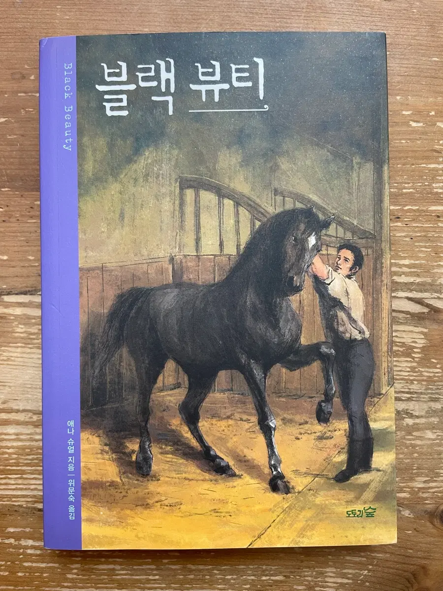 블랙 뷰티 - 애나 슈얼