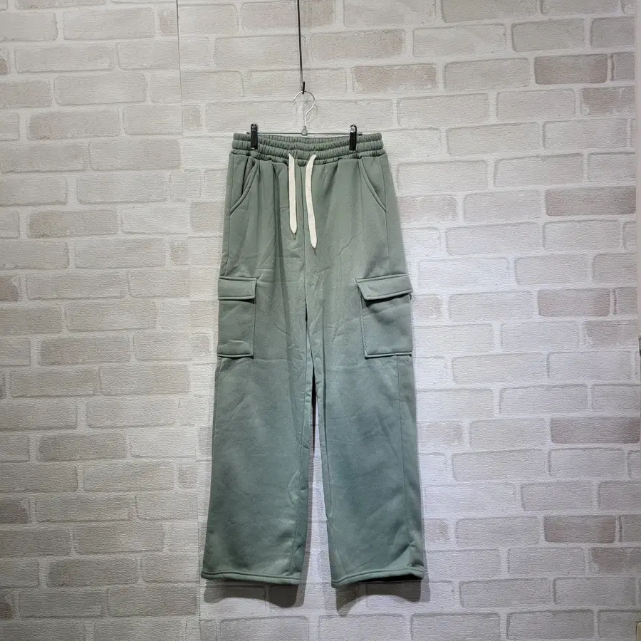ㅎ2848 기모 일자팬츠 F