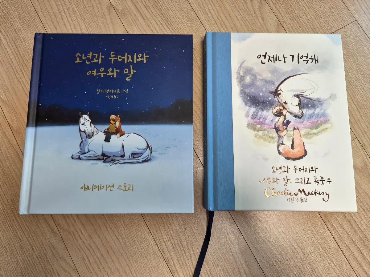 책(언제나 기억해,소년과두더지와 여우와 말)
