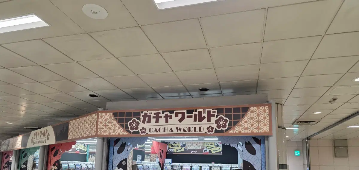 리락쿠마 교환
