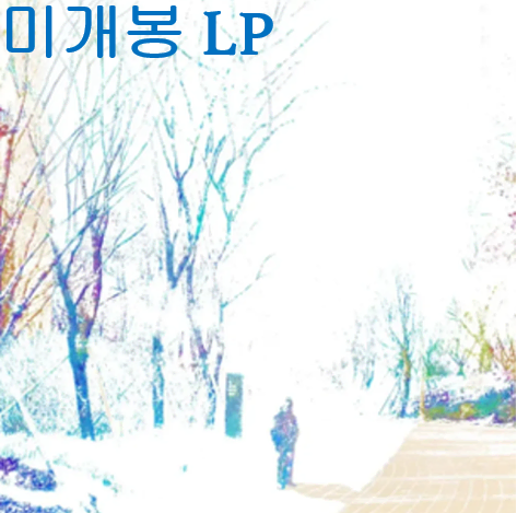 파란노을 (Parannoul) - After The Magic (미개봉, 초판 "Blossom" Colored LP)