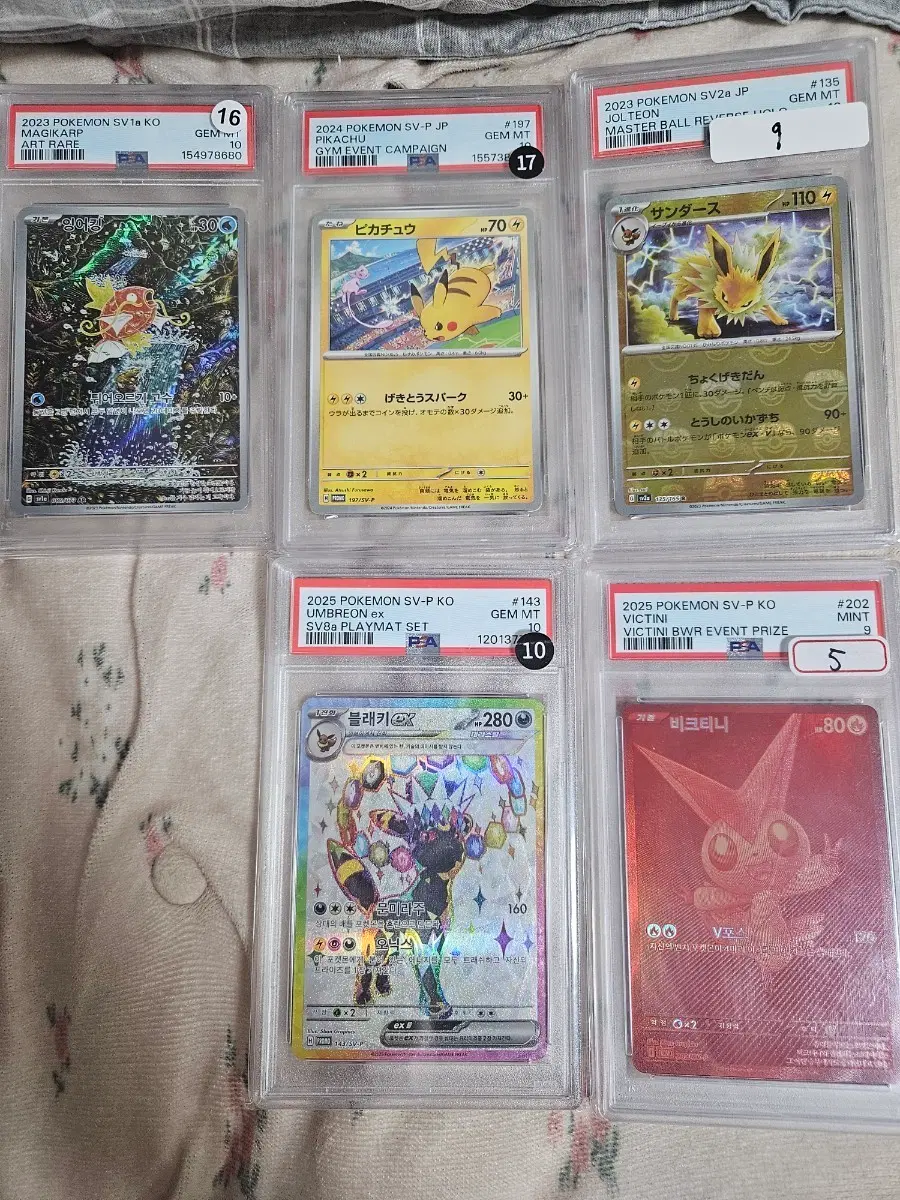 포켓몬카드 등카팝니다psa10,psa9