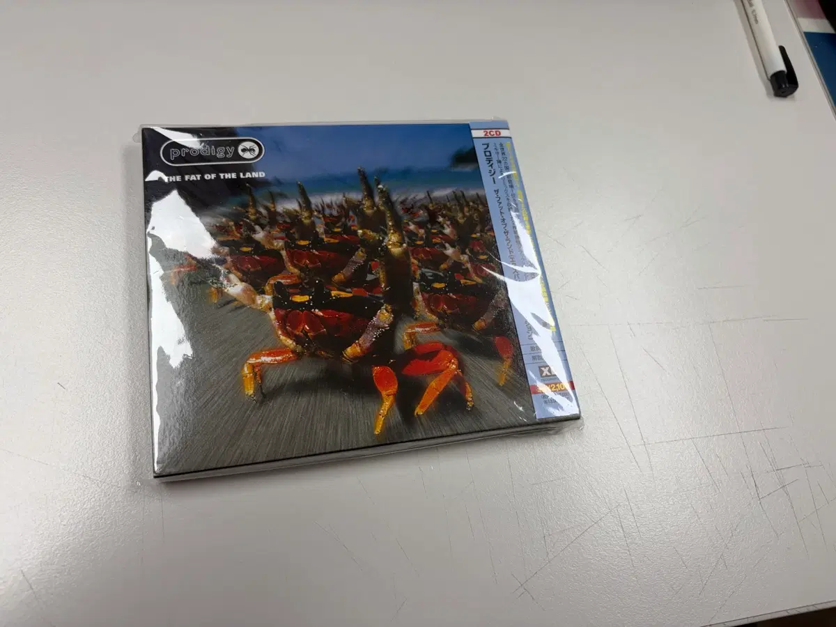 프로디지 (prodigy) The Fat of the Land 2CD