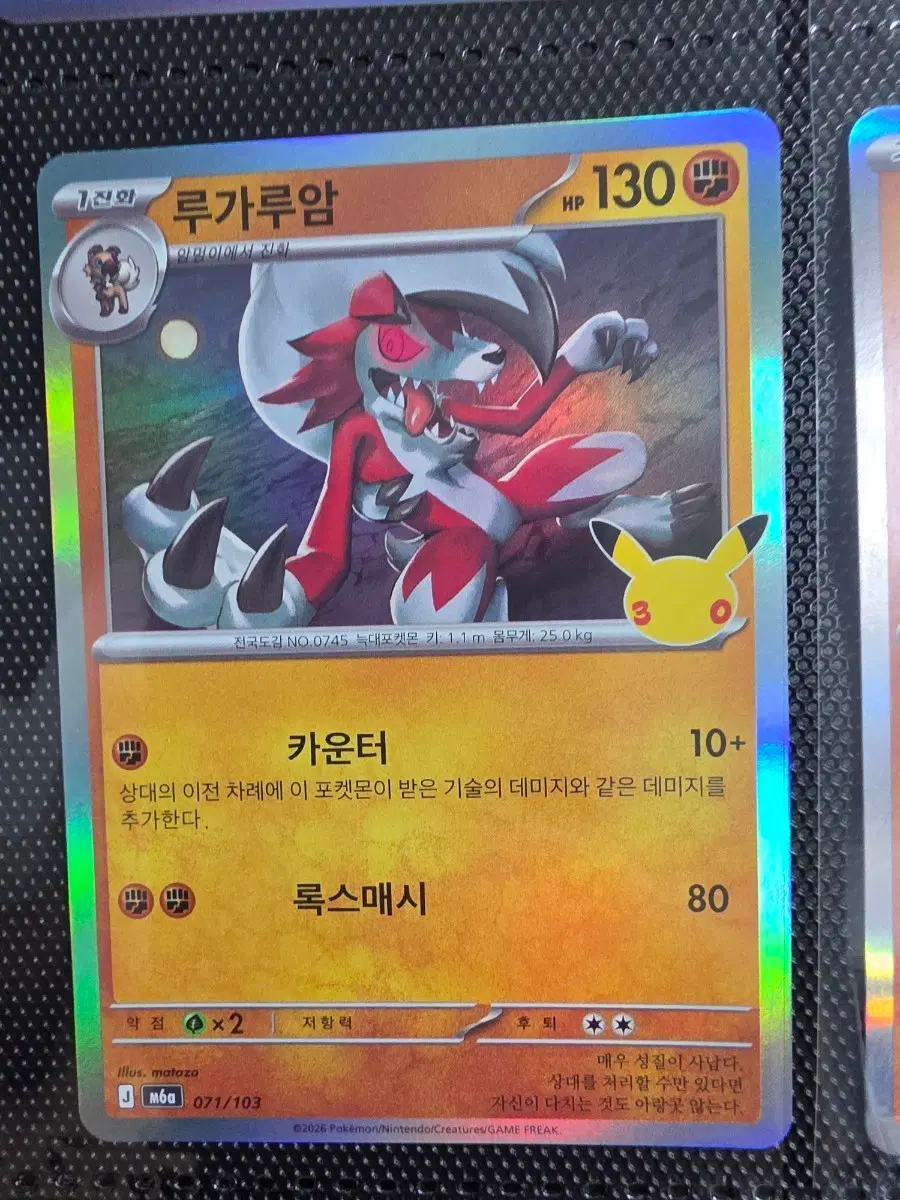 30주년 글판 루가루암 071/103