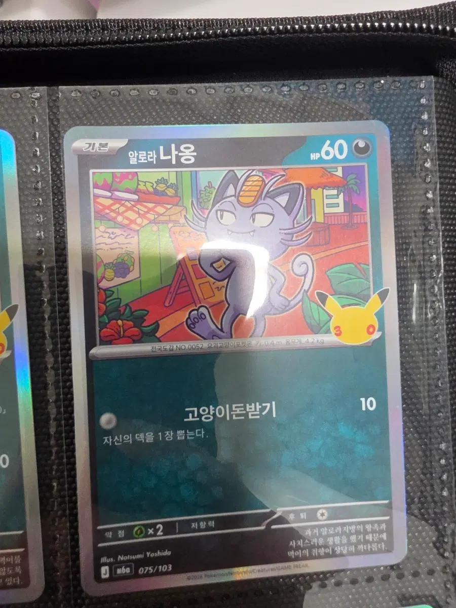 30주년 글판 알로라 나옹 075/103