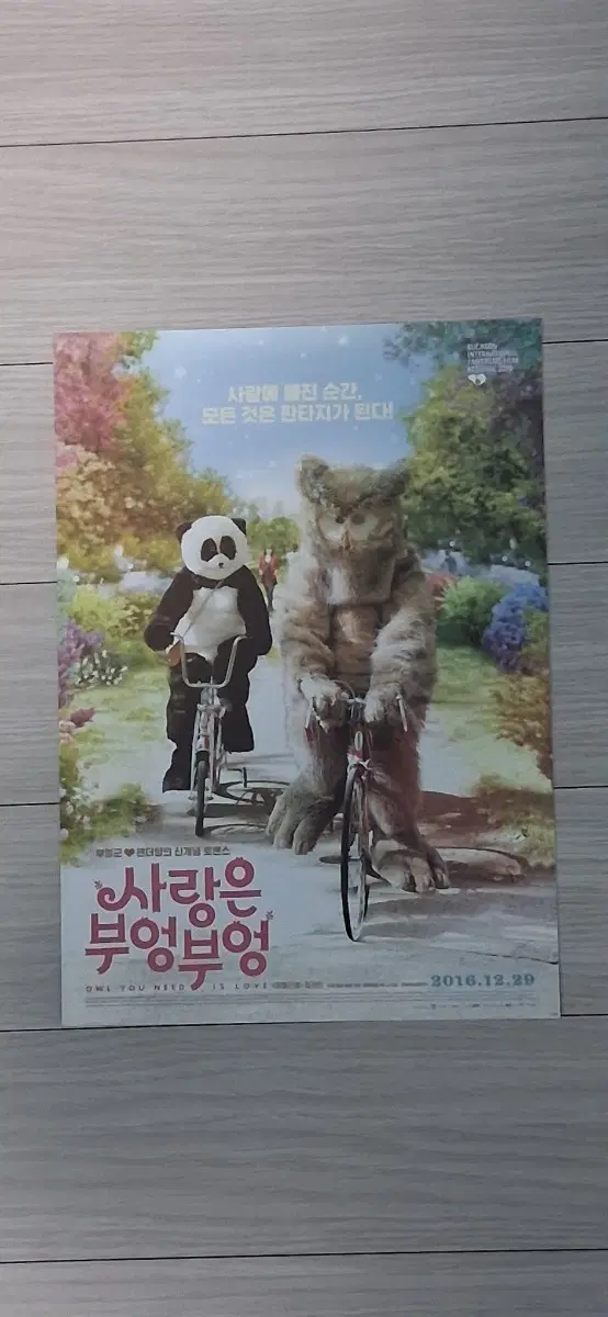 람지베디아감독 람지베디아 사랑은부엉부엉(2016년)전단지