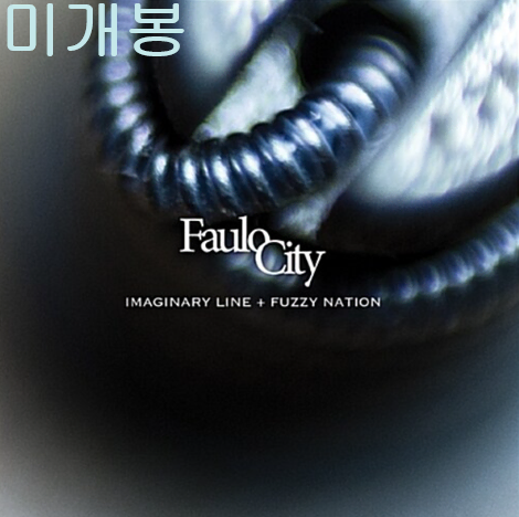 파울로시티 (Faulocity) - Imaginary Line + Fuzzy Nation [합본반] (미개봉, 2CD)