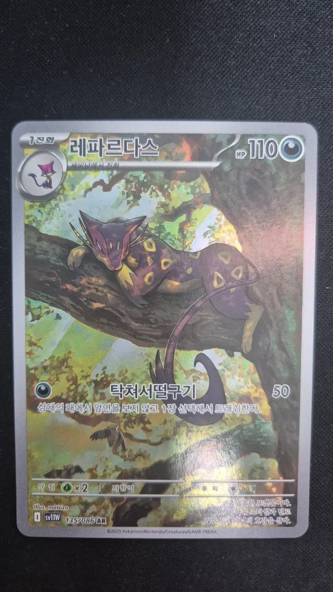 sv11w 135/086 레파르다스 AR