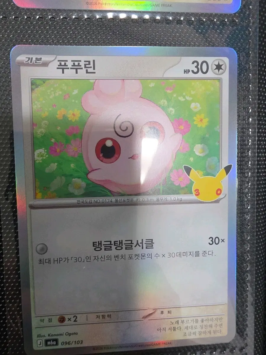 30주년 글판 푸푸린 096/103