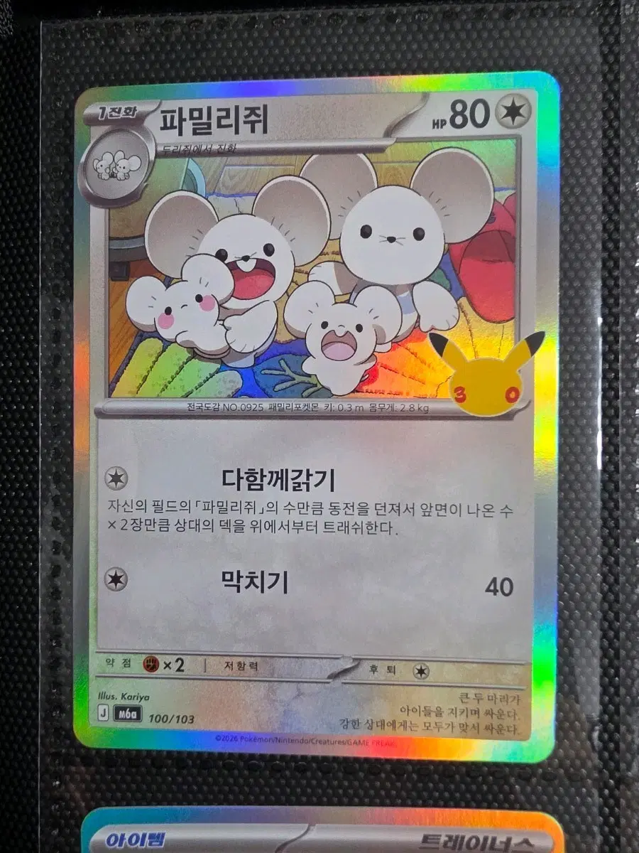 30주년 글판 파밀리쥐 100/103