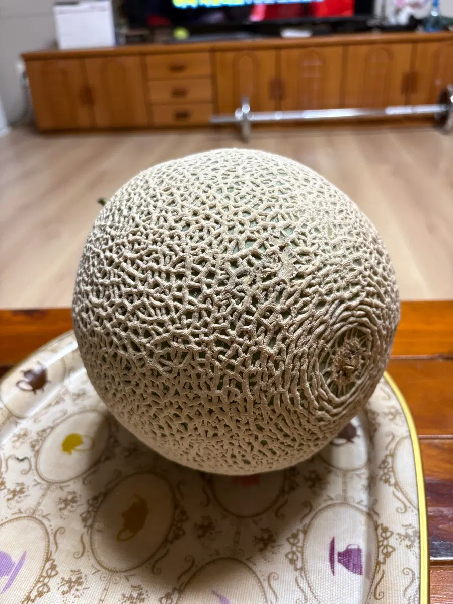 김메론님 예약