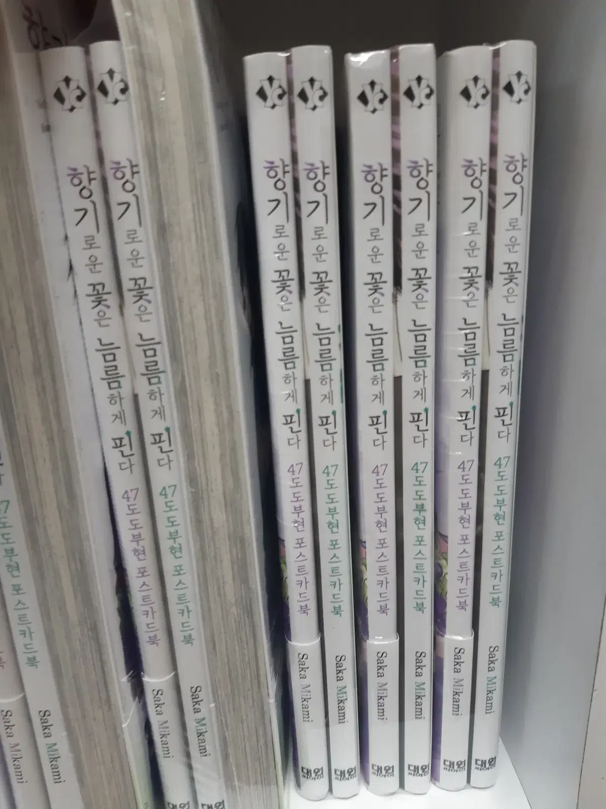 향기로운 꽃은 늠름하게 핀다 47도도부현 포스트카드북 미개봉 마화짱많아 프로상점