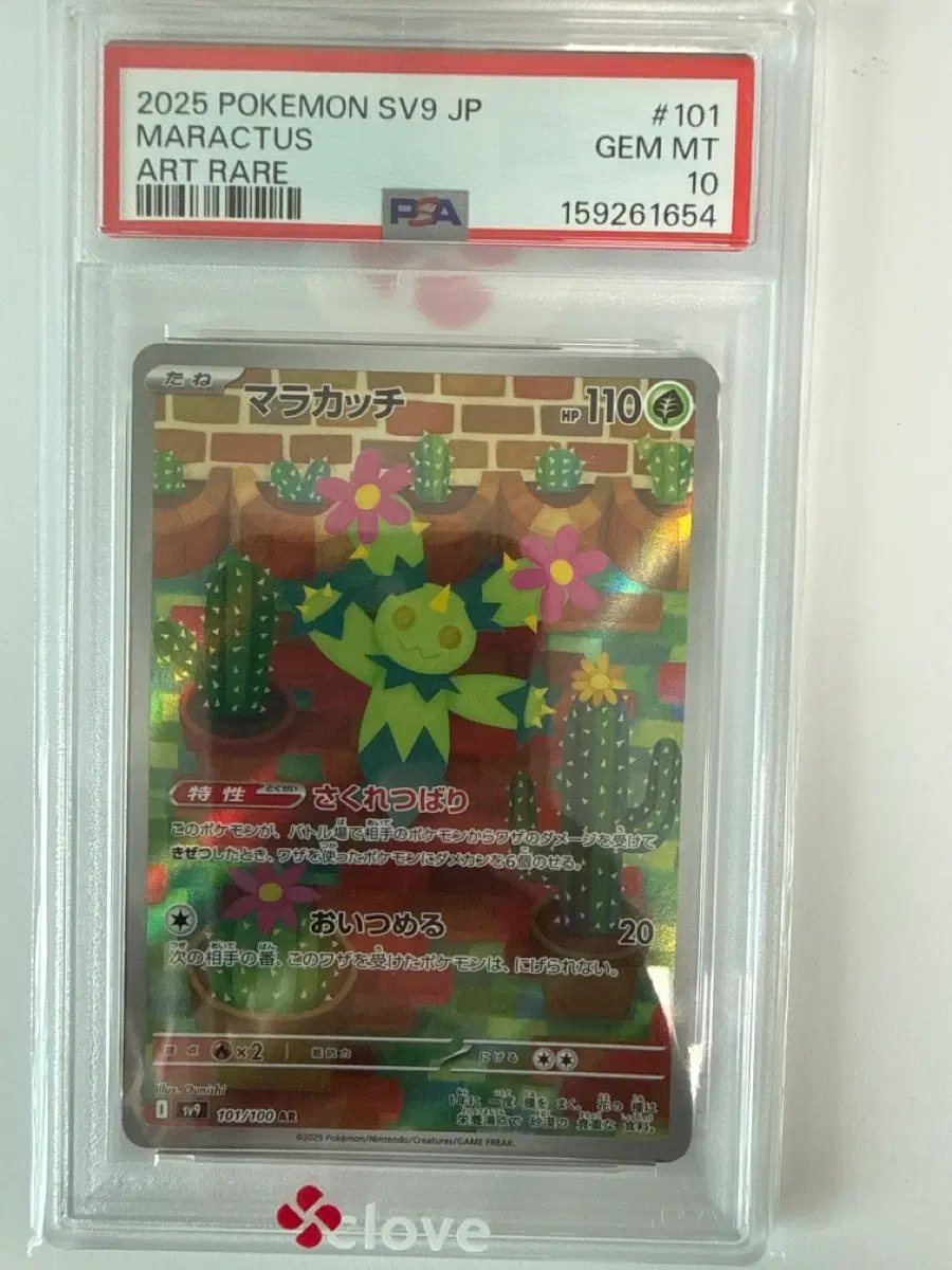 귀여운 ar일판 psa10