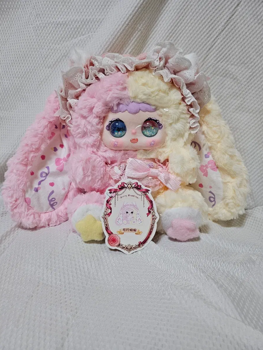 지이모 신상400퍼