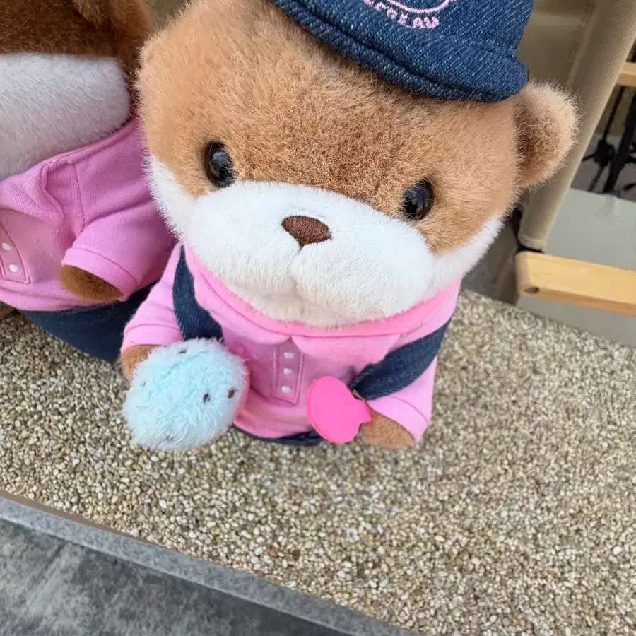 애니 랜박