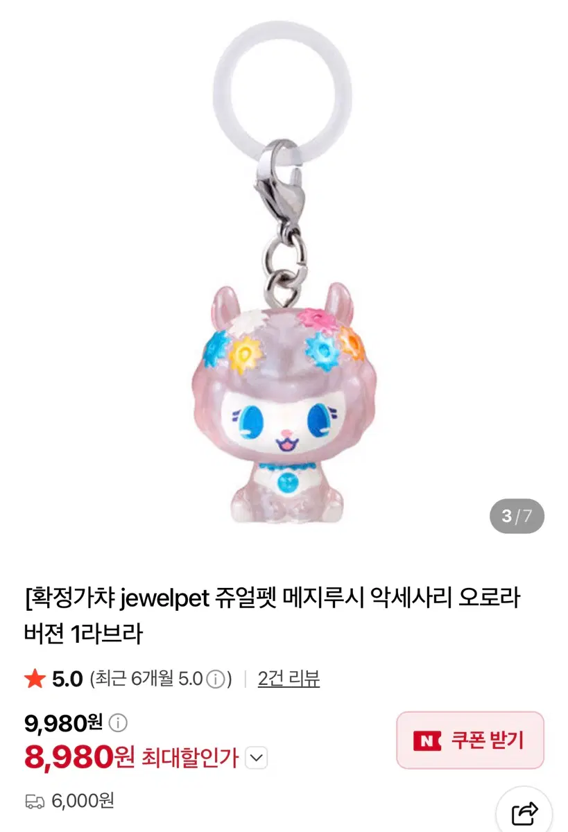 주얼펫 메지루시 오로라 안젤라