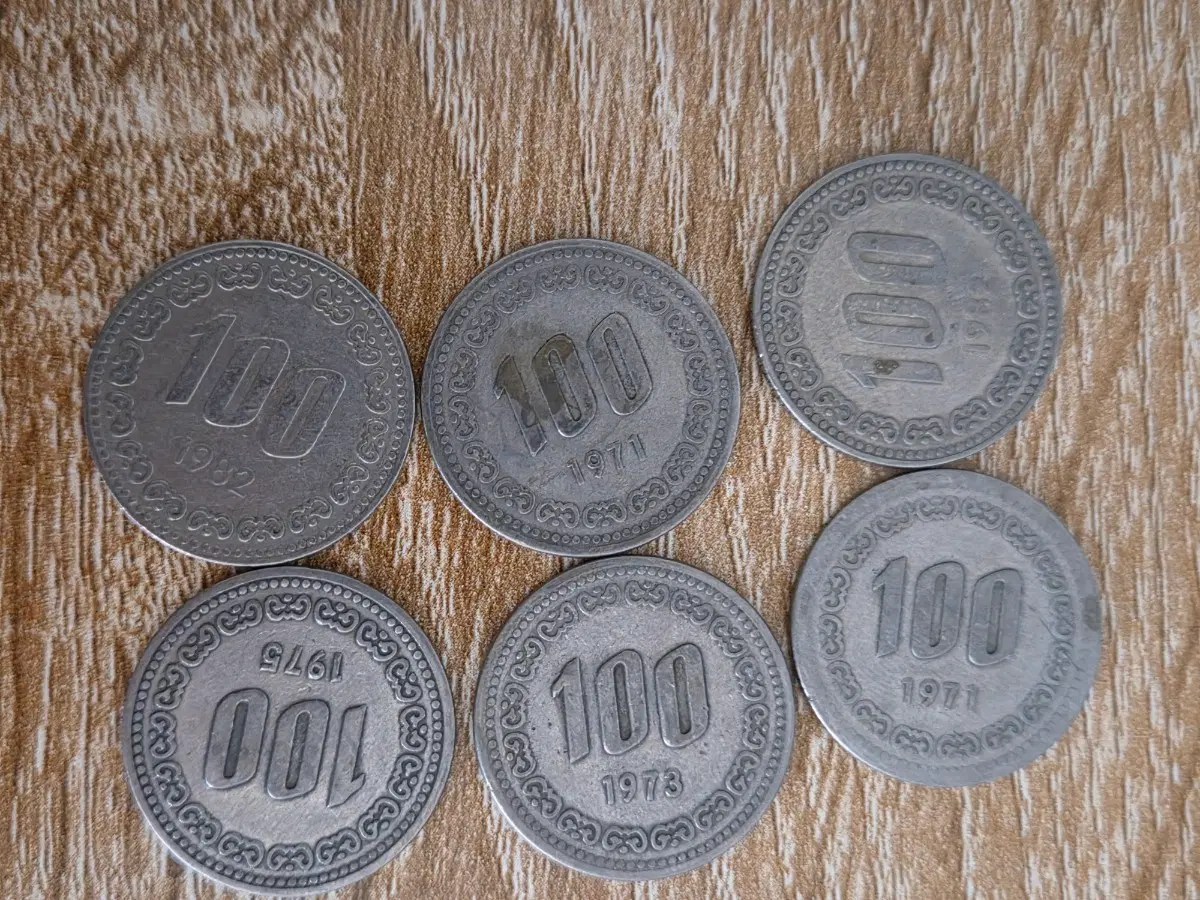 100원(희귀동전)