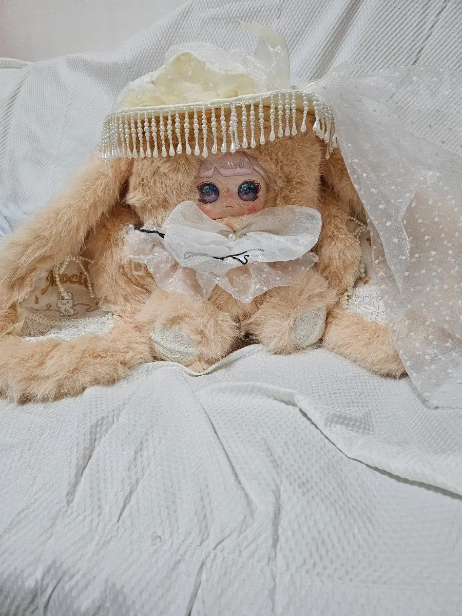 모치치신상 준시크850퍼