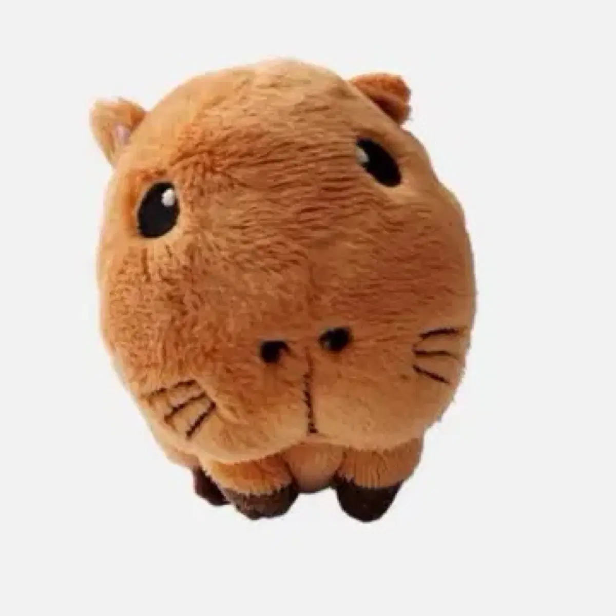 [새상품] 쿨피바라 이베이 카피바라 인형 양도 합니다