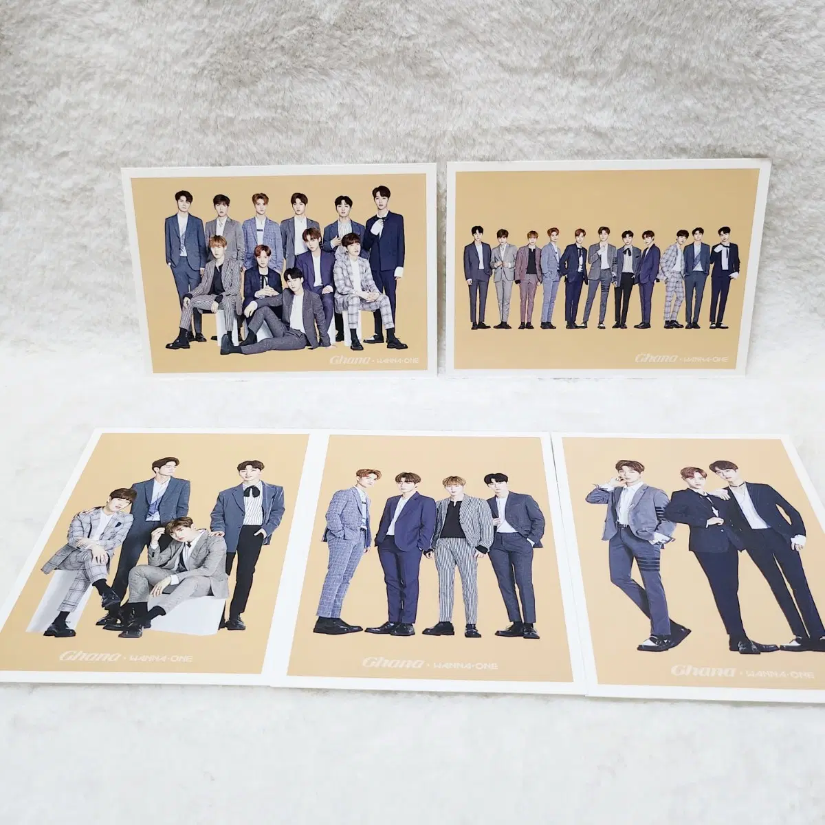 워너원 가나 초콜릿 엽서 사진 박지훈 이대휘 황민현 박우진 옹성우 윤지성 배진영 김재환 강다니엘