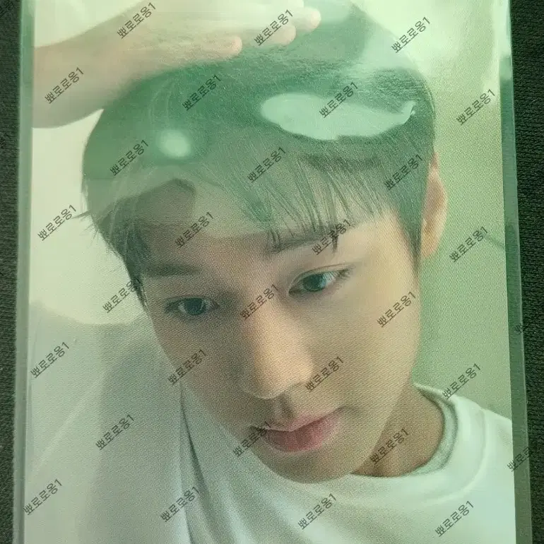 박지훈 포맨트 쓰담 포카