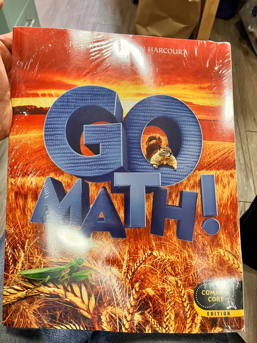 Go math gr2