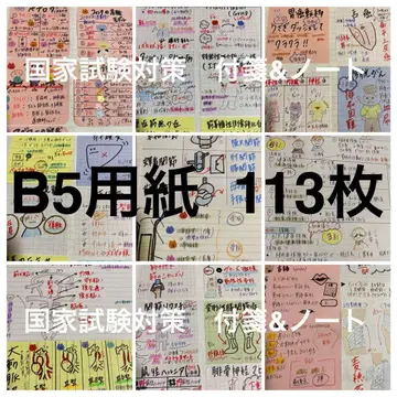B5 용지 113장 간호사 국가시험 대책 포스트잇 노트