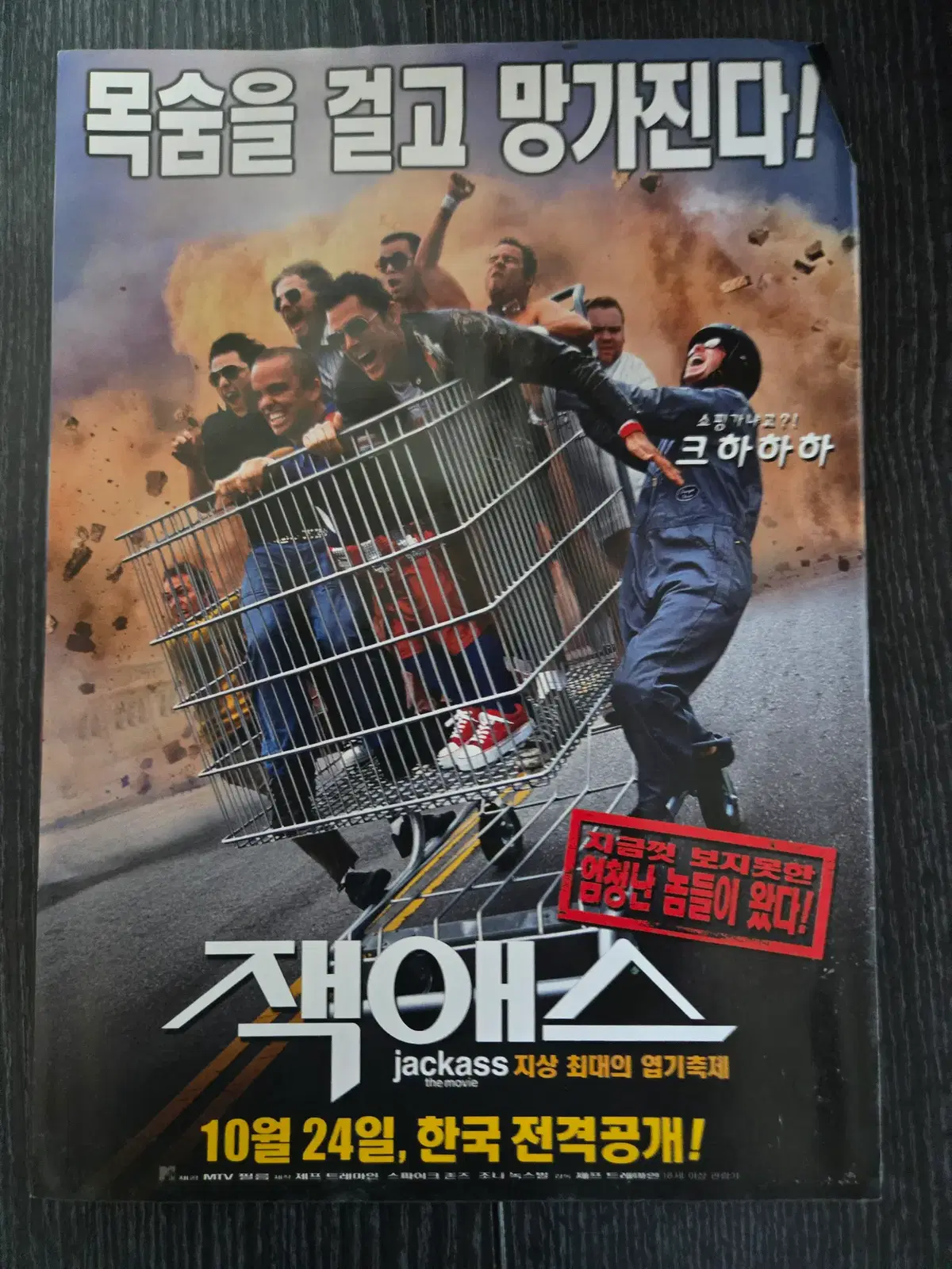 잭애스 / 영화전단지/영화자료/고전희귀