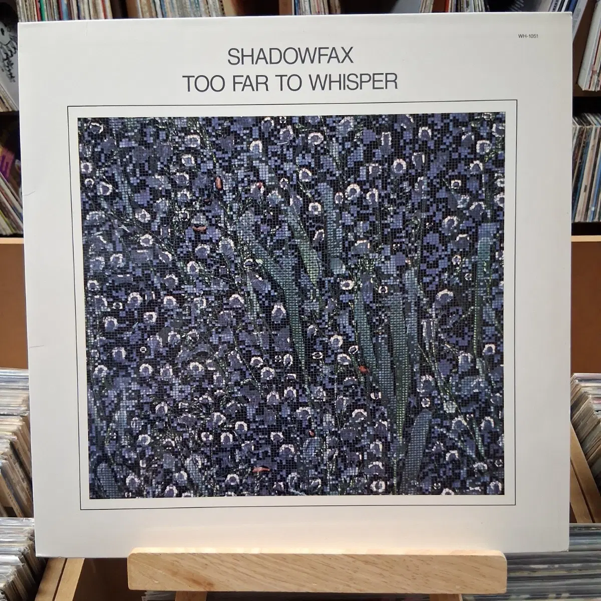 민트급 미국반 뉴에이지 SHANNONFAX LP 할인