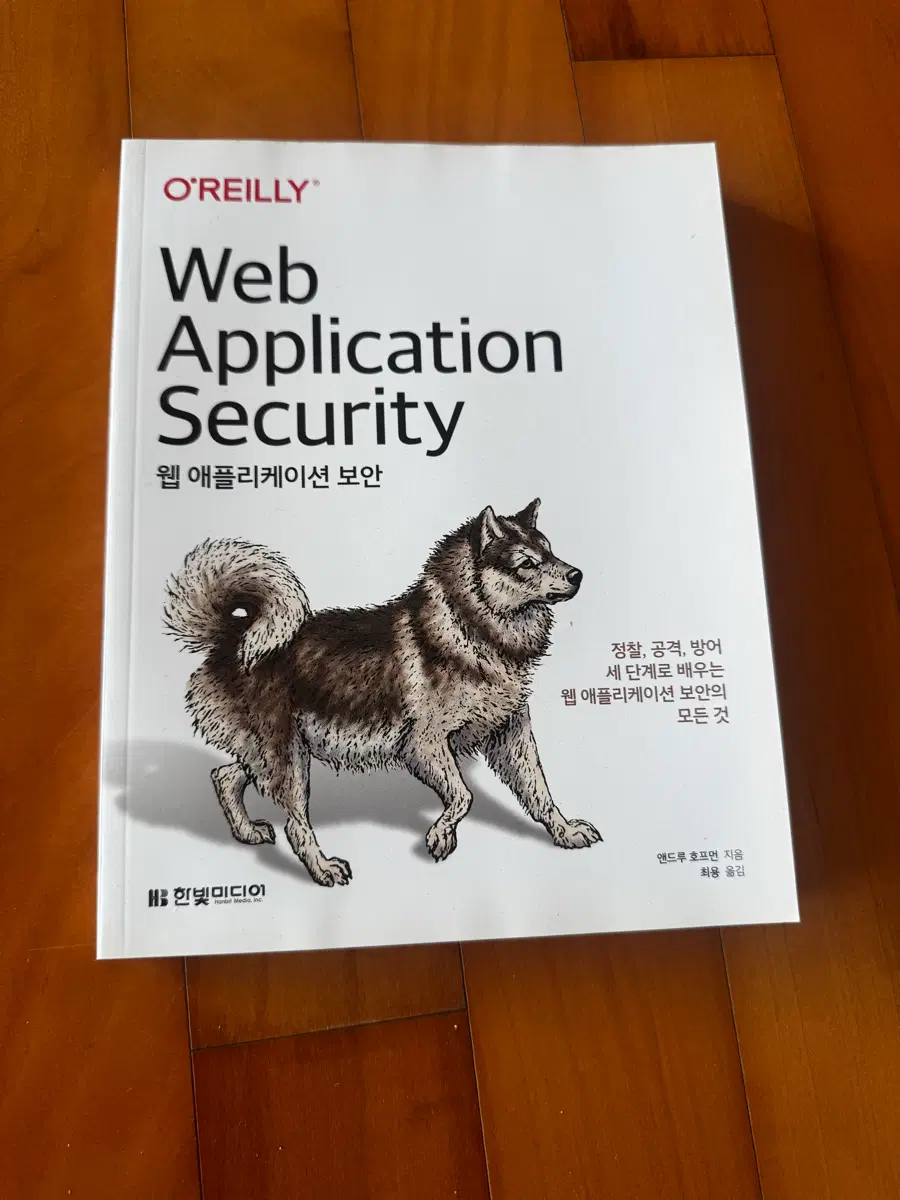 웹 어플리케이션 보안 책