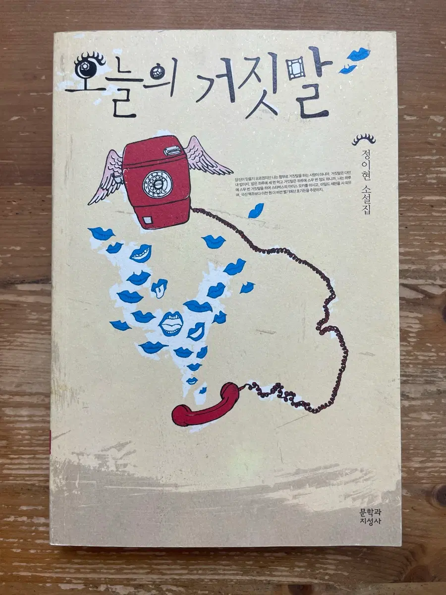 오늘의 거짓말 - 정이현