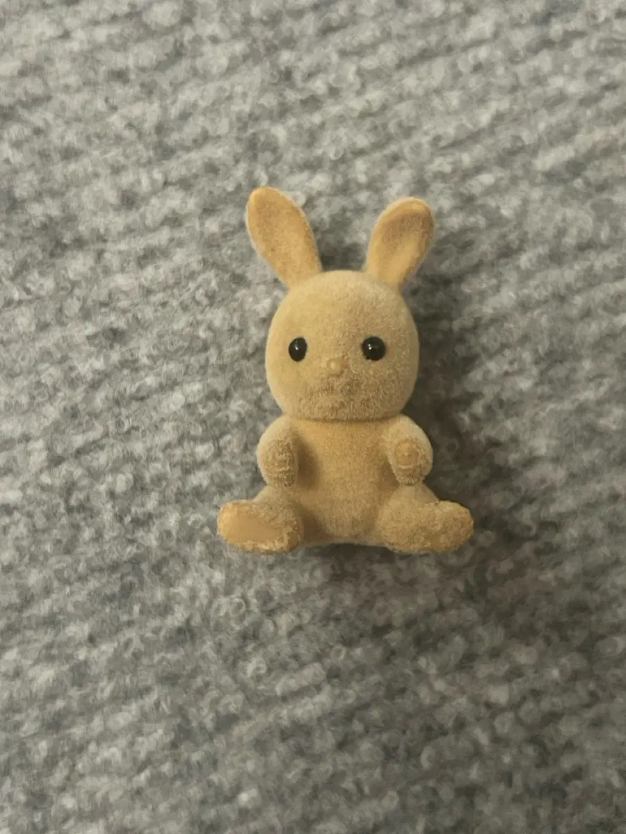 실바니안 귀접 토끼