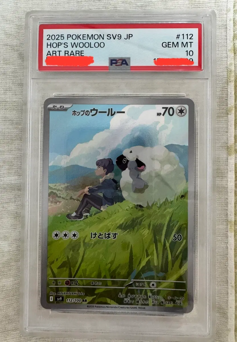 일판/PSA10 포켓몬카드 호브의우르AR