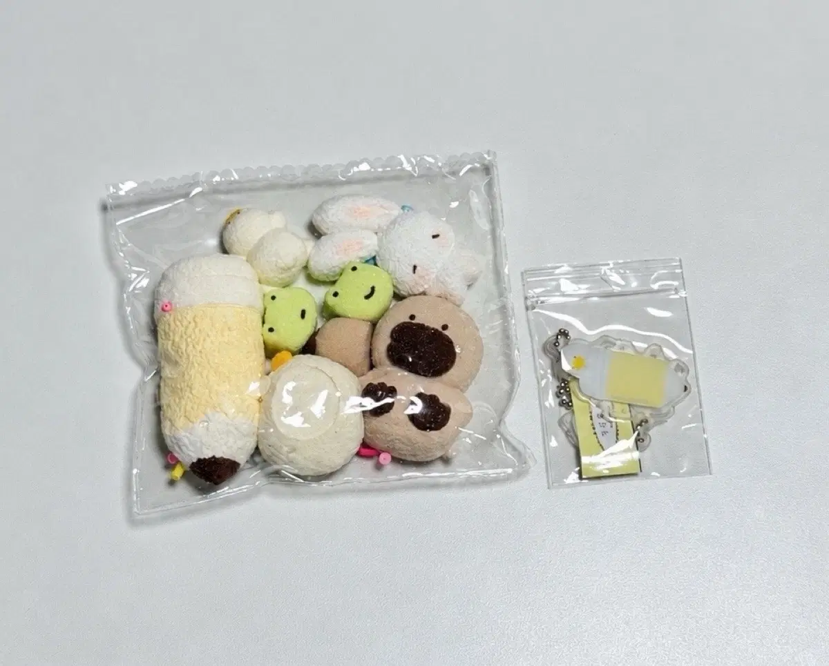 테디베어 와글이