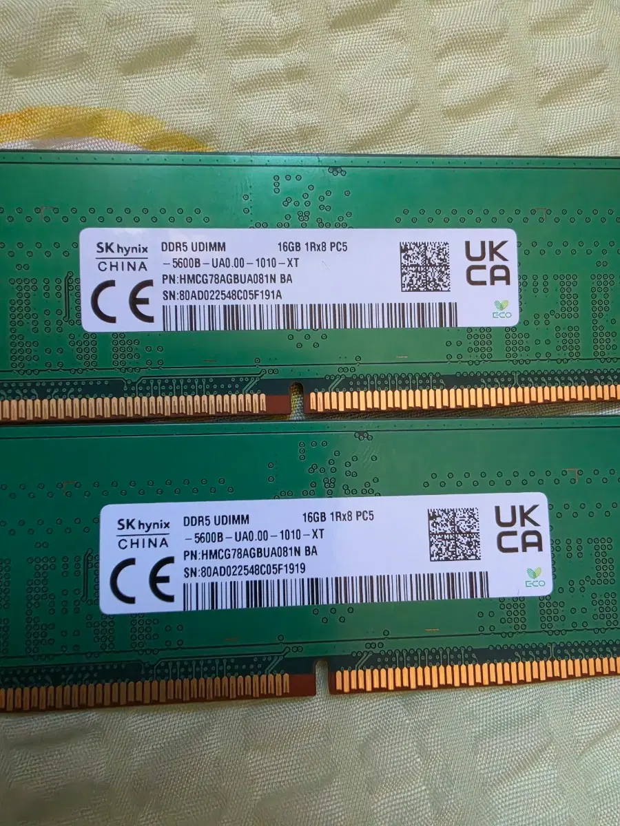 SK하이닉스 DDR5 UDIMM 16GB 2개
