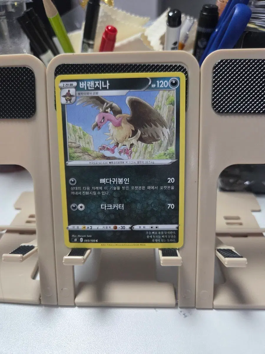 포켓몬 카드 버랜지나