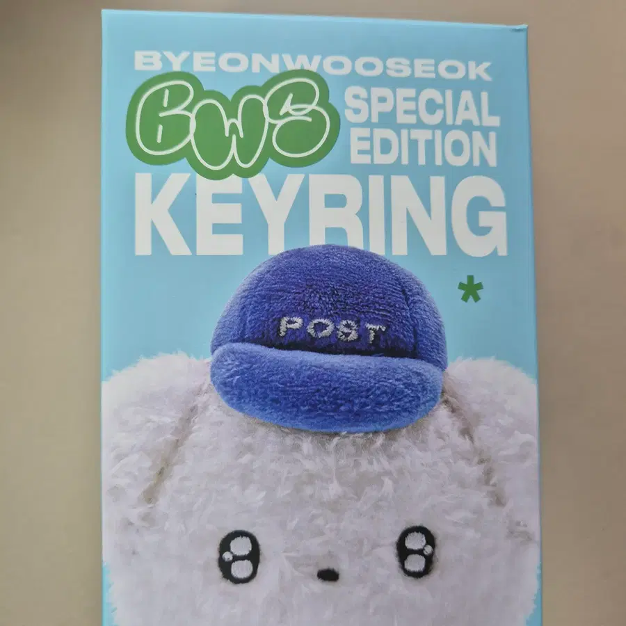 변우석 키링 인형 스페셜 에디션 BWS 선재 업고