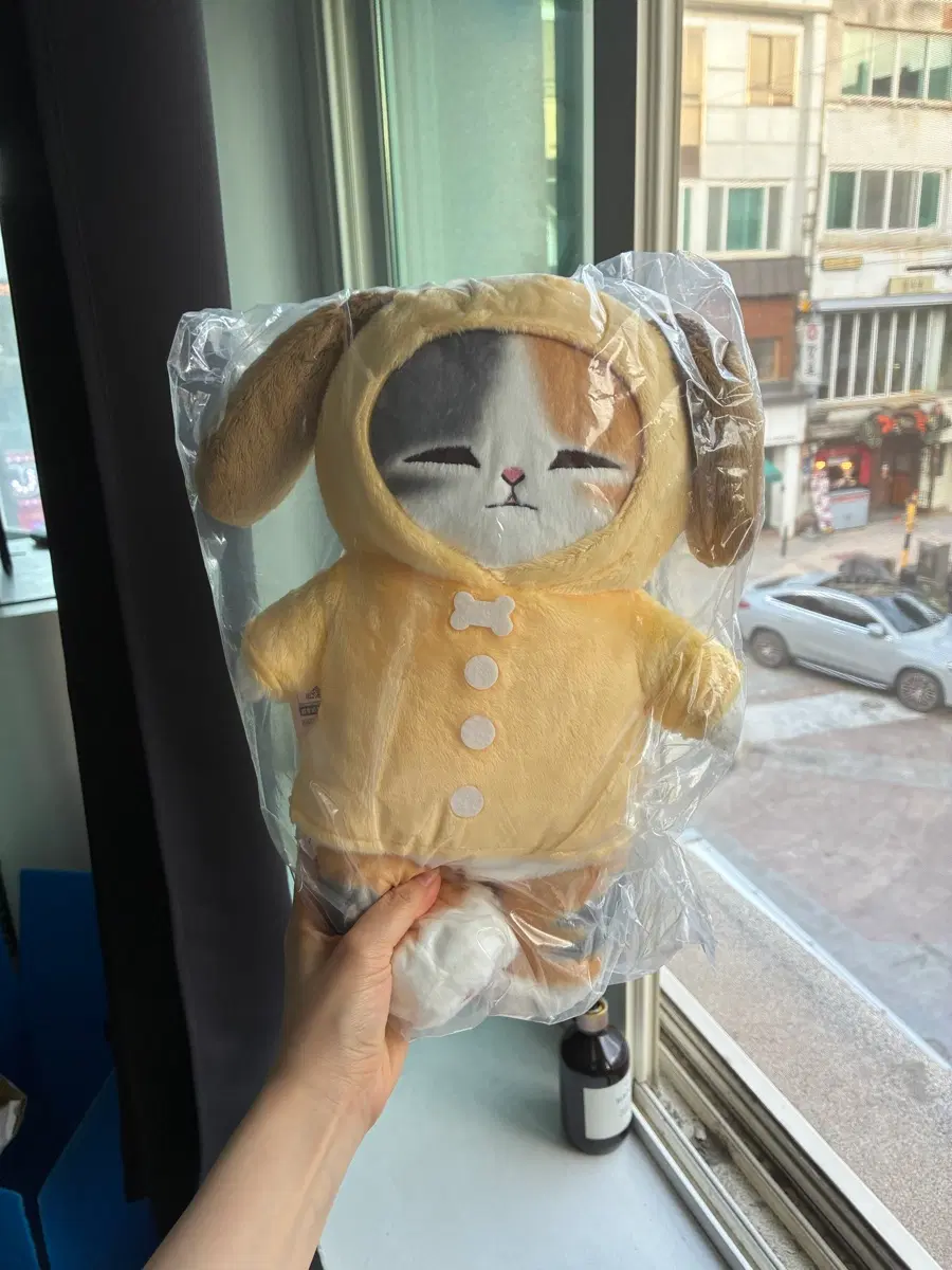 모프샌드 B상 인형 쿠지 제일복권 미개봉 새상품