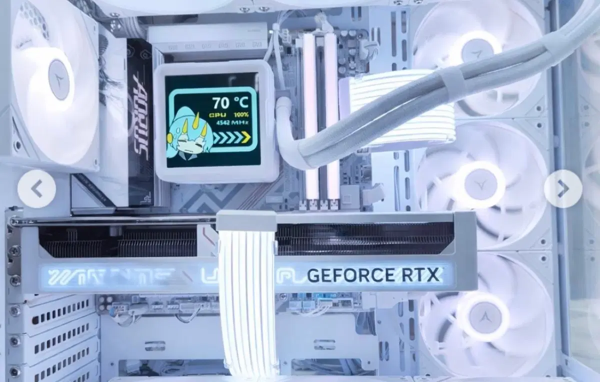 5060ti 화이트 모델 구매 희망합니다