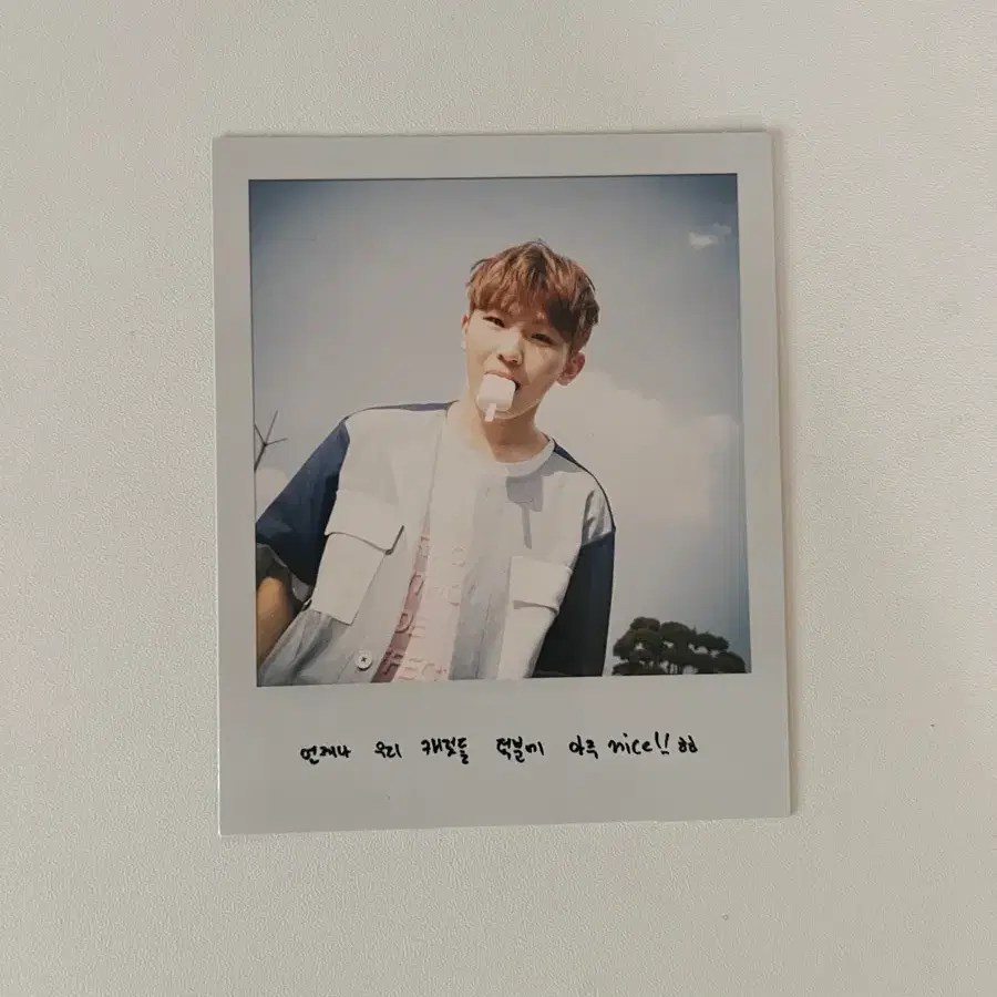 세븐틴 우지 아주나이스 폴라 판매