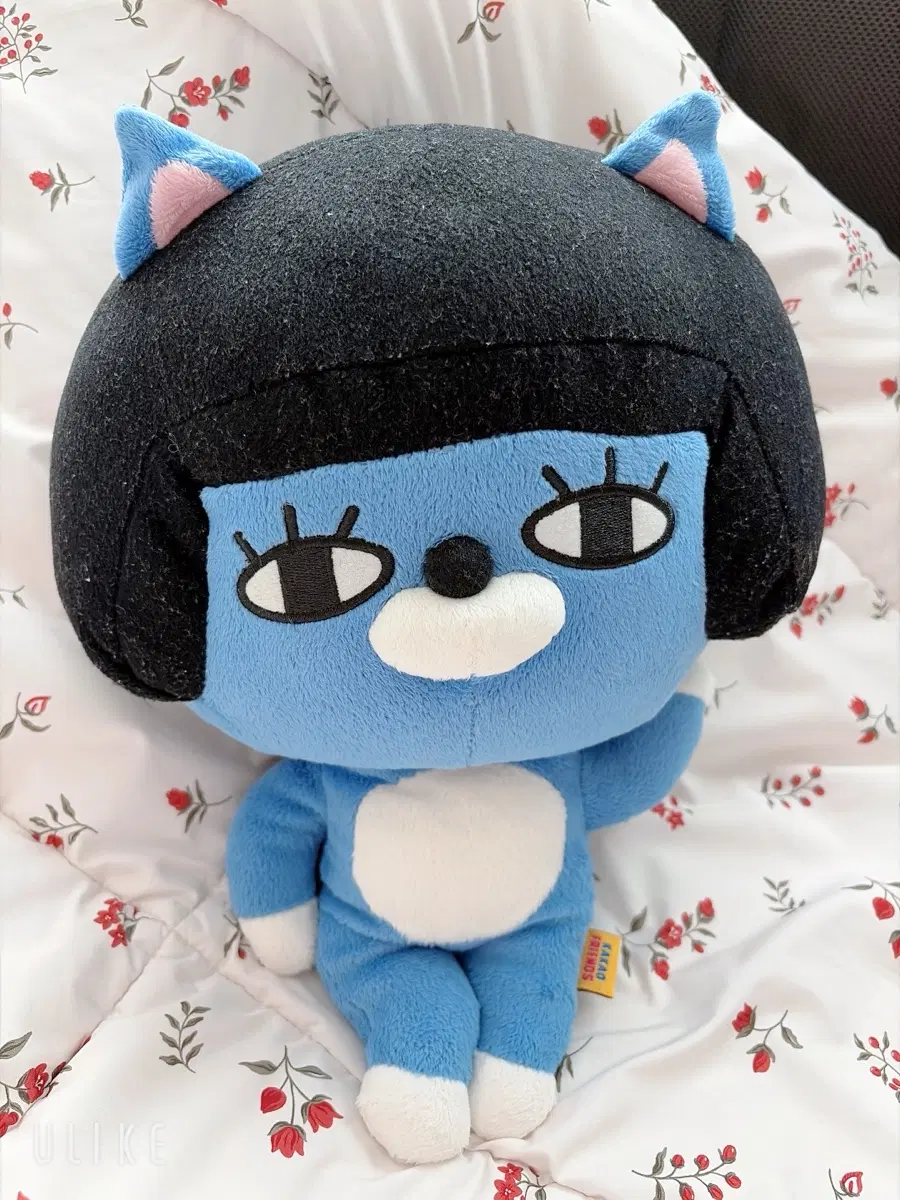 카카오프렌즈 네오 인형