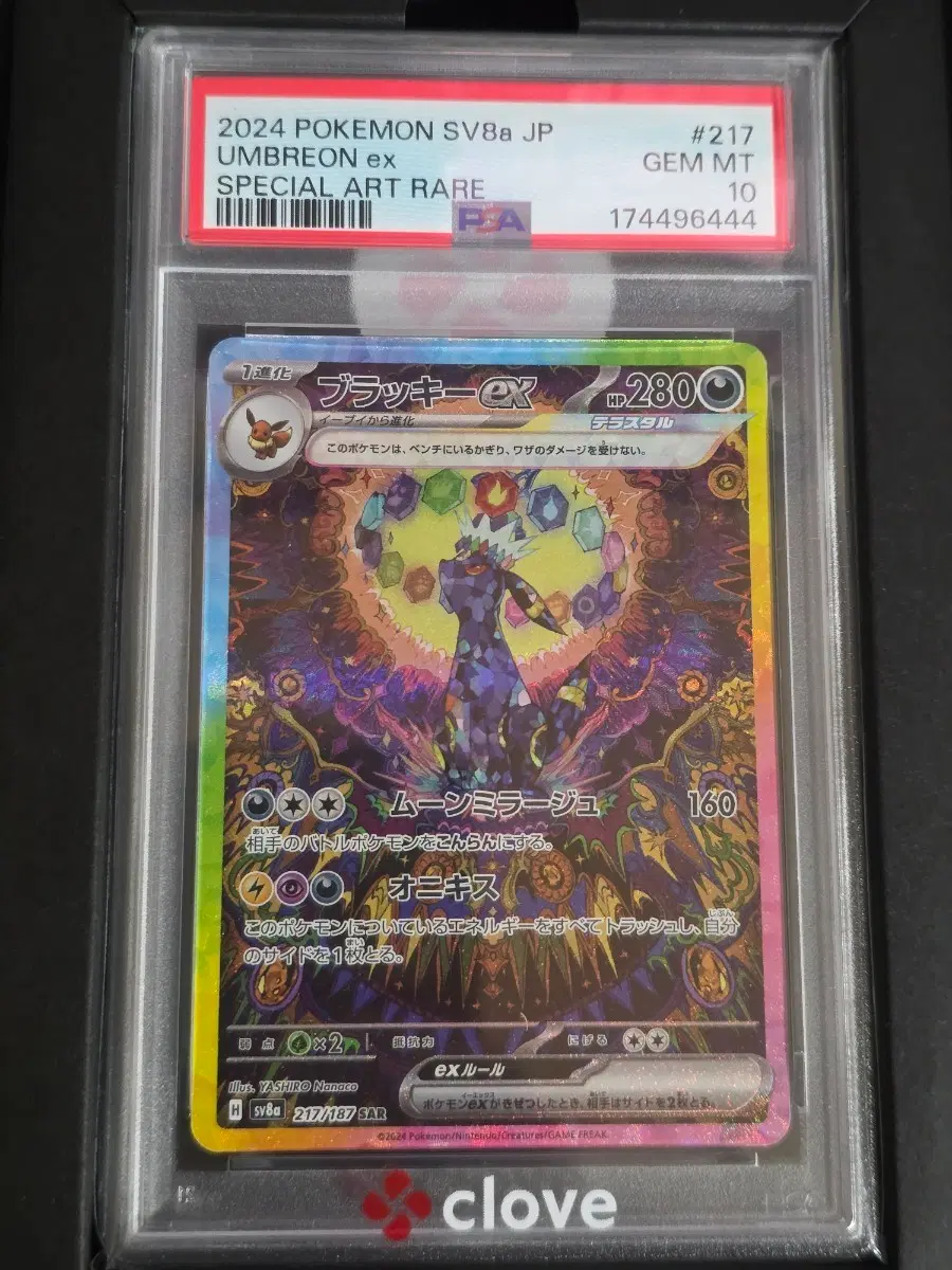 포켓몬카드 블래키 ex SAR PSA10 일판