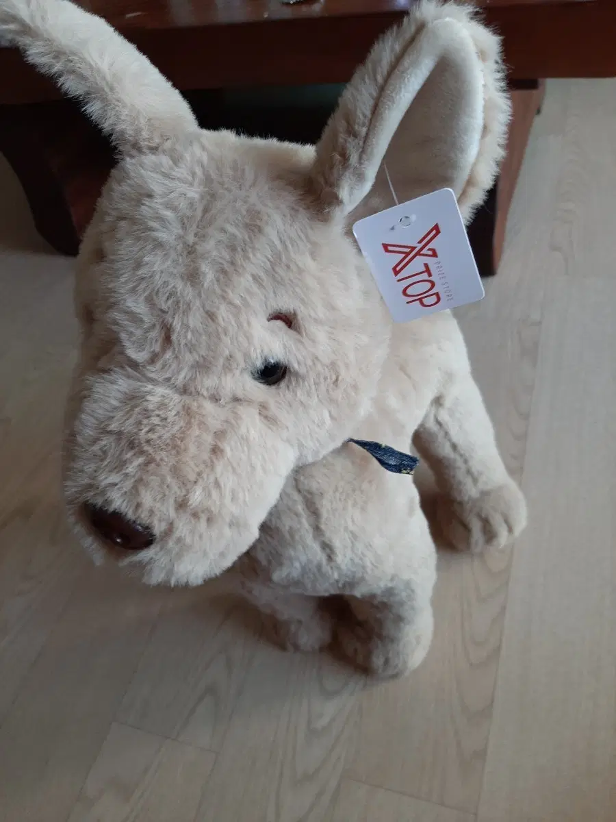 XTOP 강아지 인형 베이지색