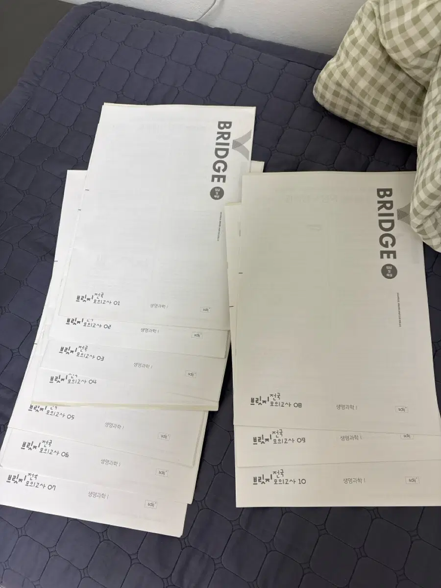 2025학년도 시대인재 생명과학1 브릿지 전국 1~10회 전회차
