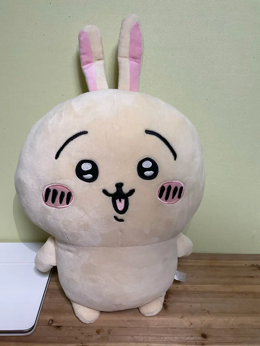 먼작귀 우사기 50cm 인형