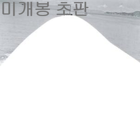 페어브라더 (Fairbrother) - 남편 (미개봉, 초판, CD)
