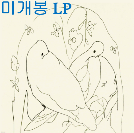 페이퍼리버 (Paper River) - why why (미개봉, LP)