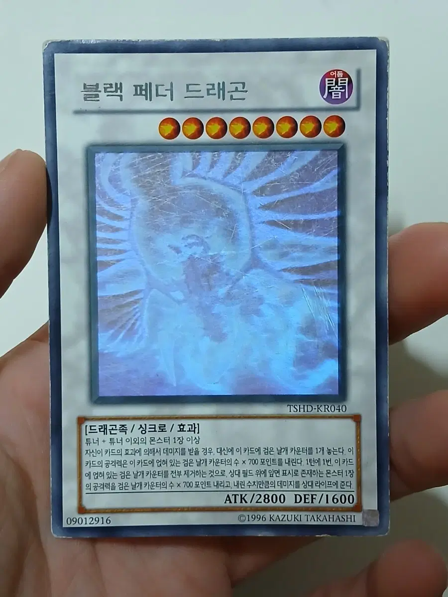 블랙 페더 드래곤 홀로 유희왕