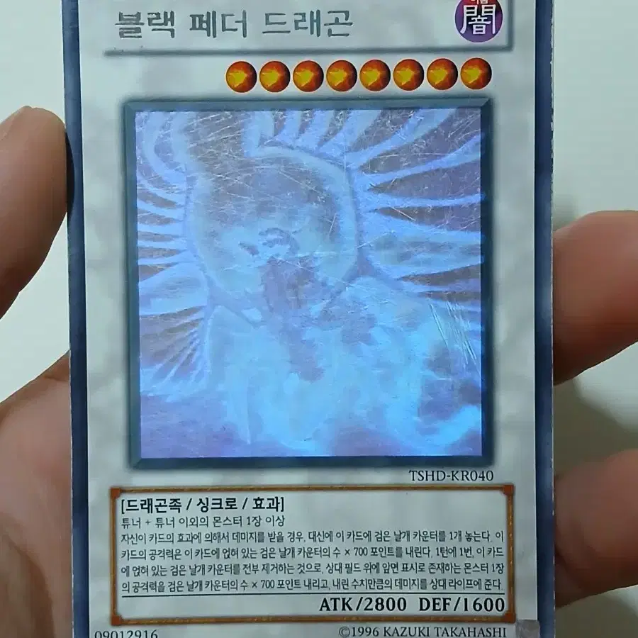 블랙 페더 드래곤 홀로 유희왕