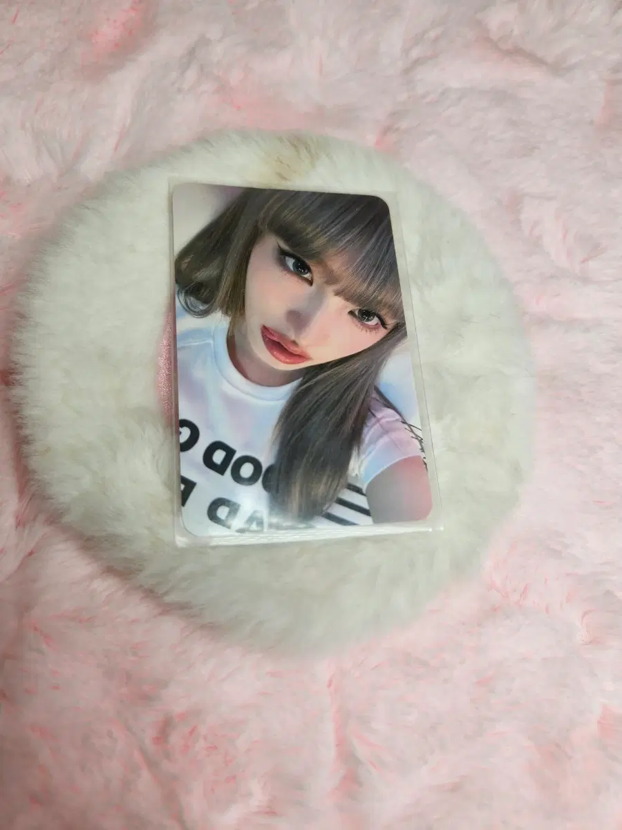 리즈